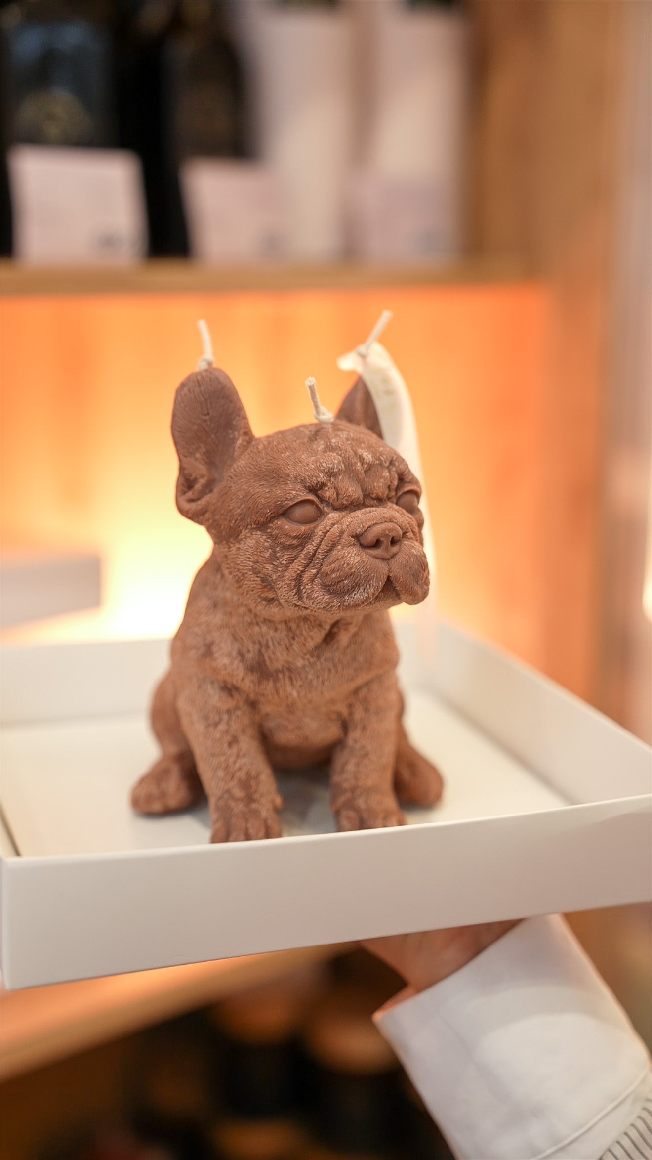 Свічка Улюбленці песики