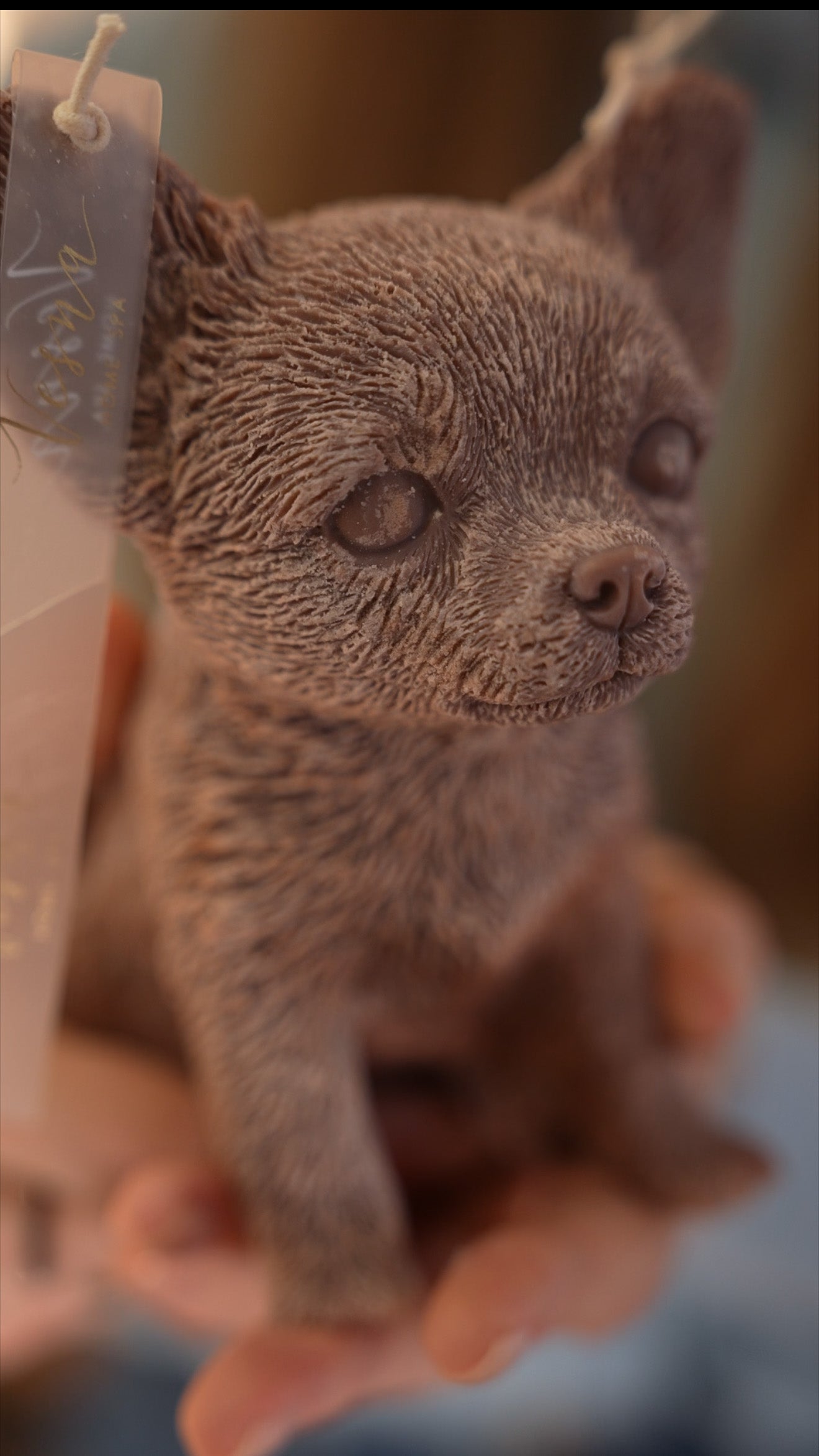 Свічка Улюбленці песики