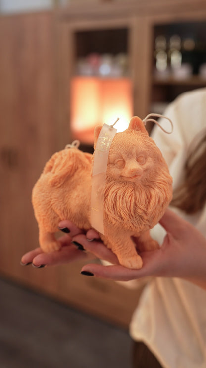 Свічка Улюбленці песики