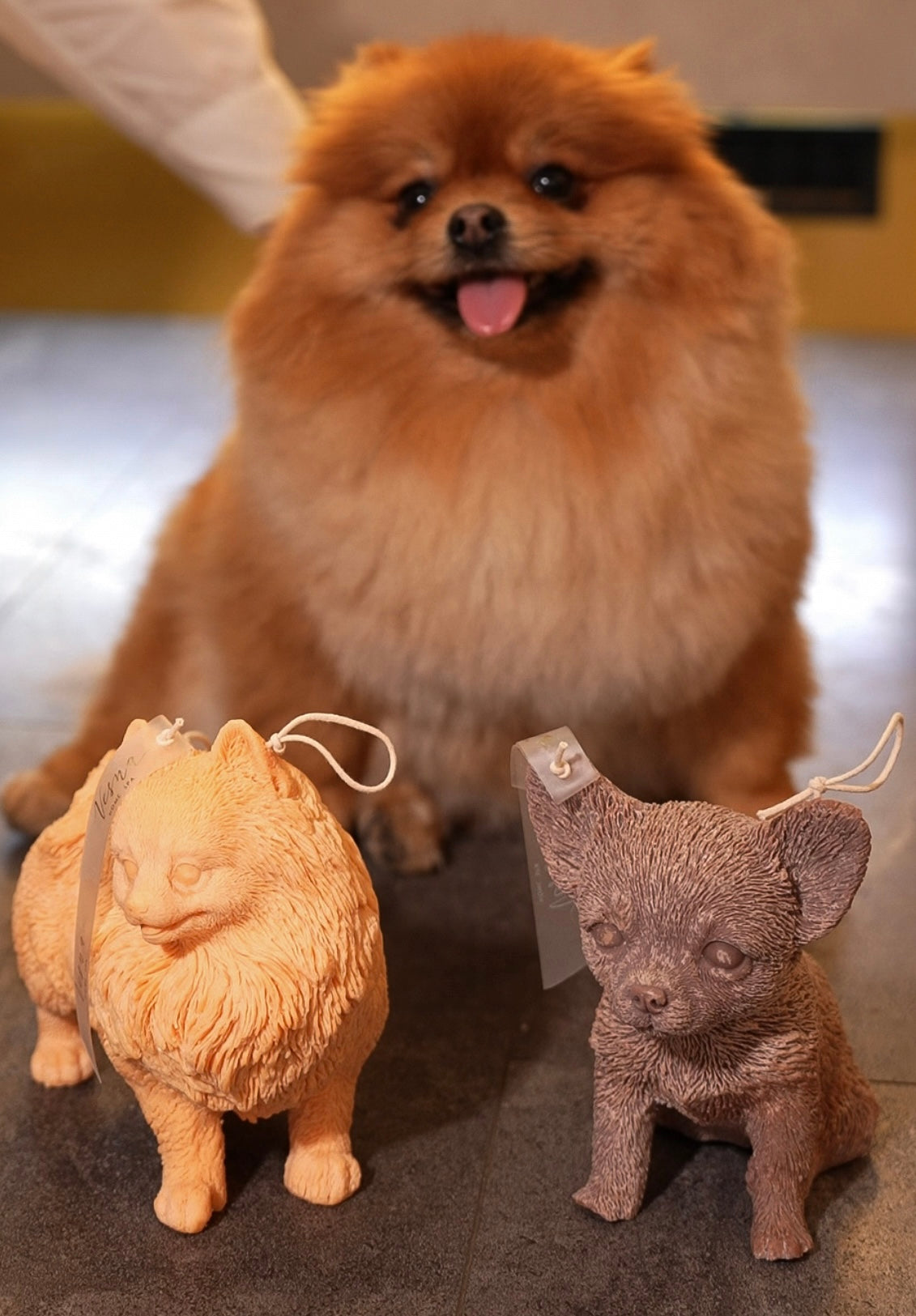 Свічка Улюбленці песики