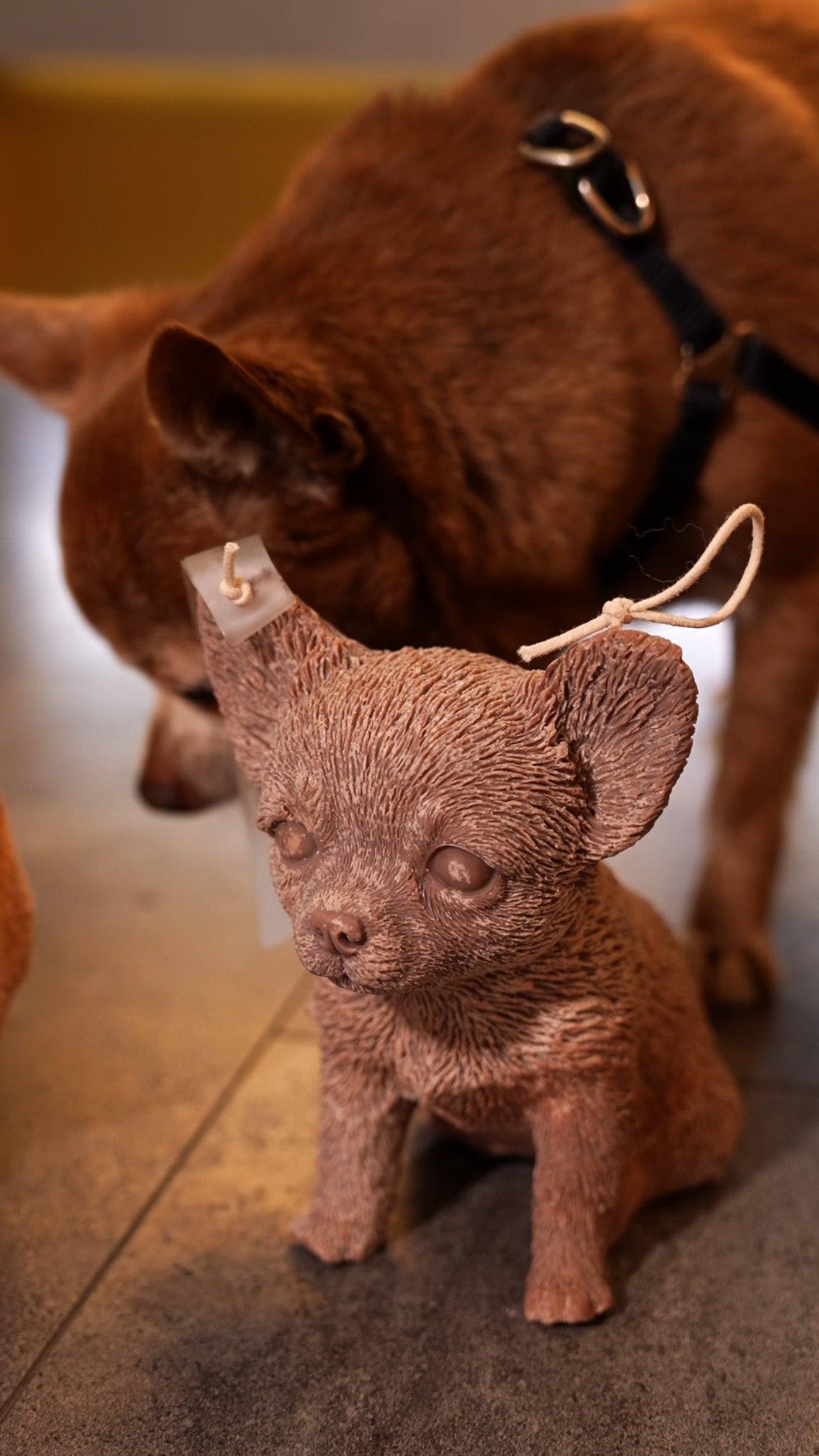 Свічка Улюбленці песики